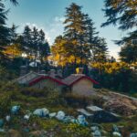 shivansh-singh-L1CxTCllJb0-unsplash